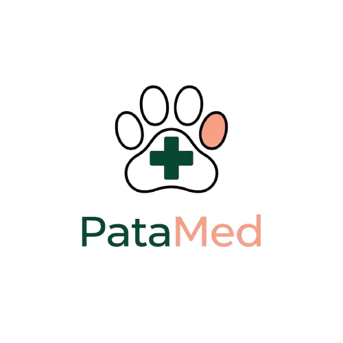 PataMed Logo